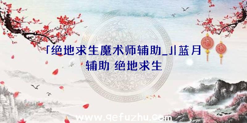 「绝地求生魔术师辅助_」|蓝月辅助